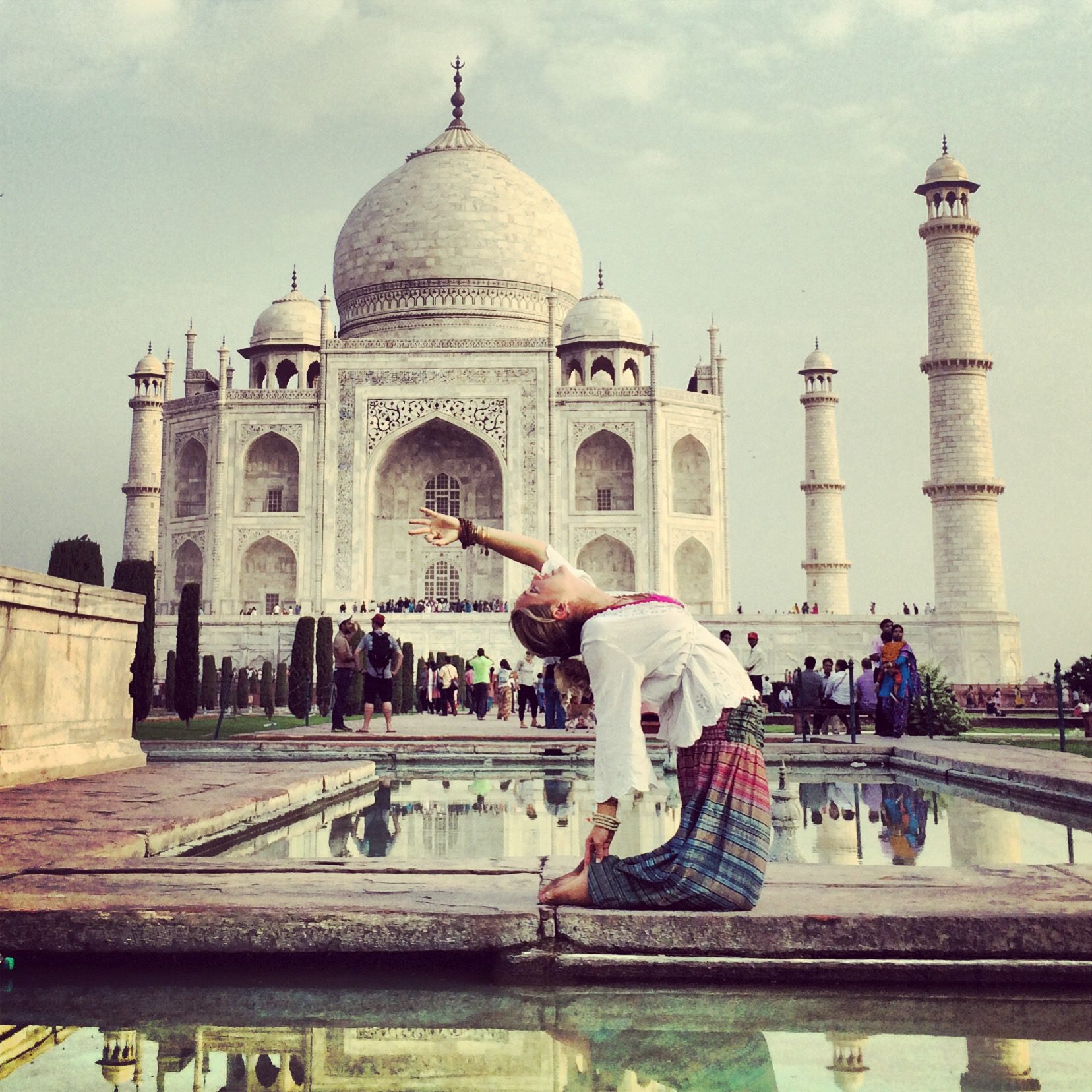 Camel_Taj_Mahal