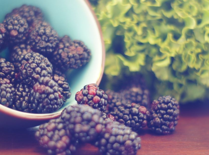 Resized berries (842 × 625 px)
