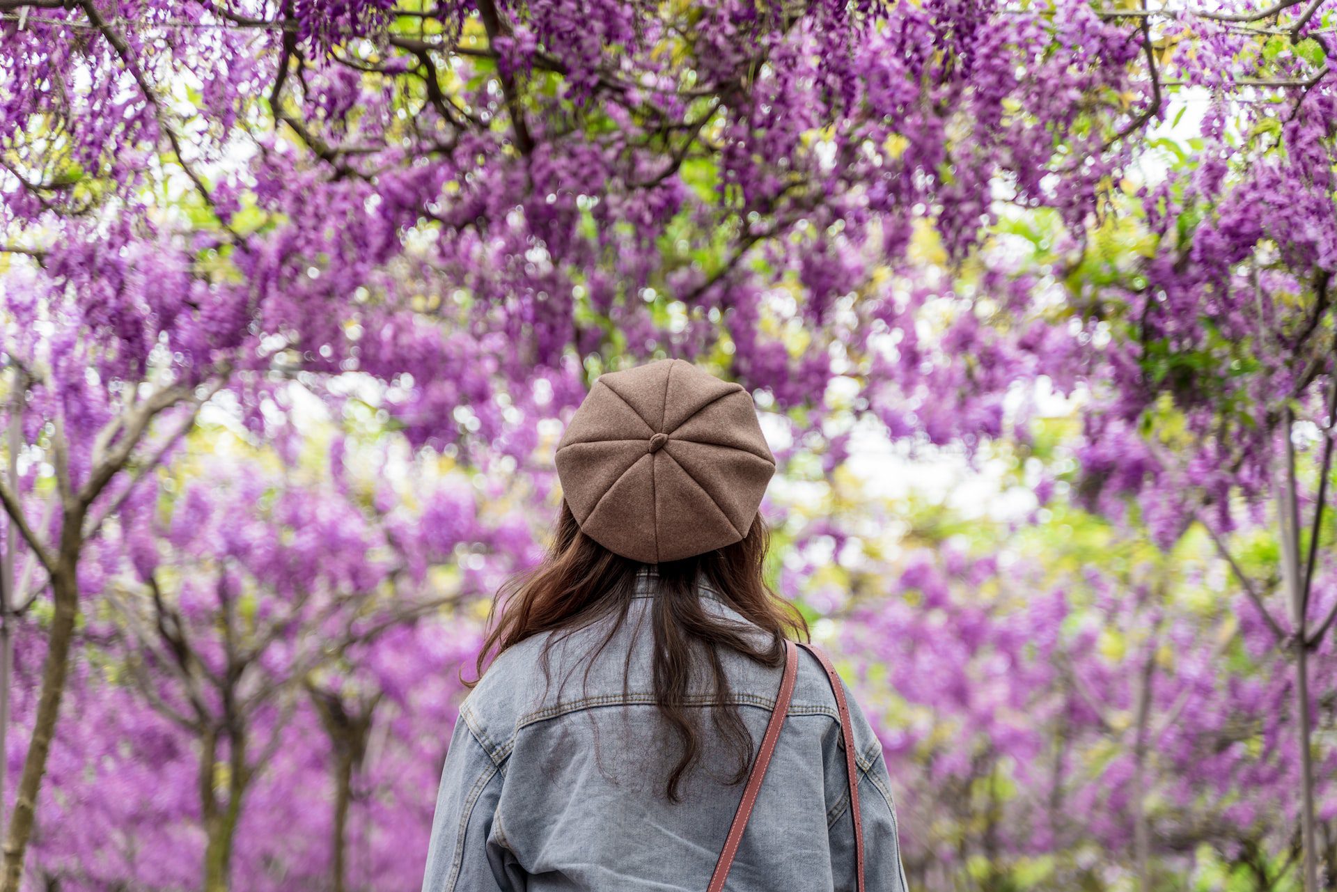 Walking with lilacs_medium
