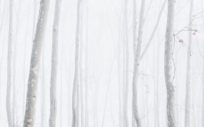 Discover Your Inner Wisdom: A Beginner’s Guide to Intuition and Feeling Your Vibes