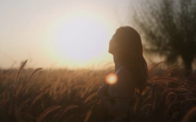 Navigating the Forest of Intuition: Uncovering the Path to Profound Understanding