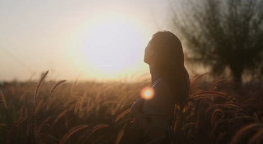 Navigating the Forest of Intuition: Uncovering the Path to Profound Understanding